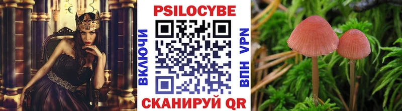 где найти наркотики Красный Кут Псилоцибиновые грибы Psilocybe